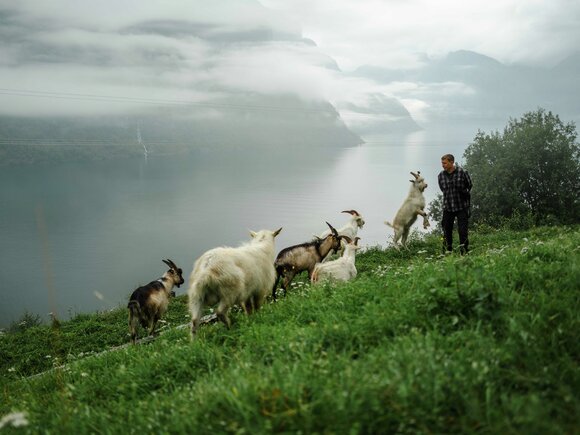 Geiter Vestland