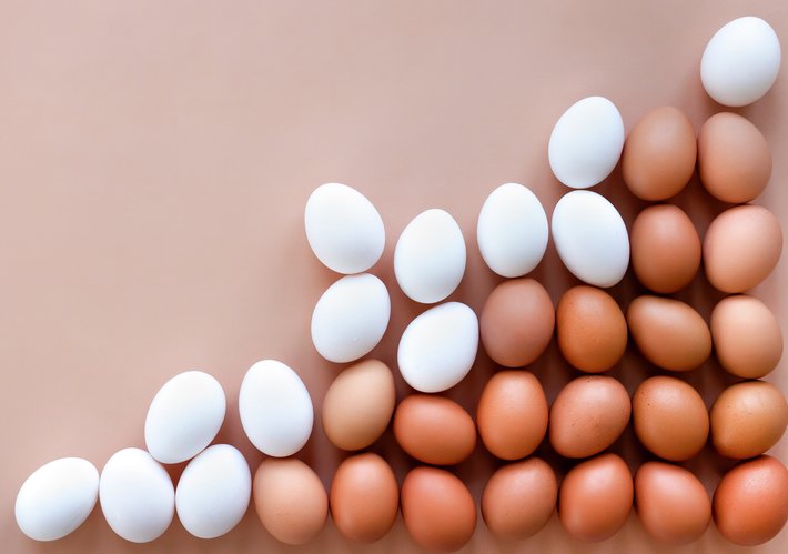 Egg proteiner