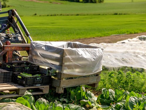 Grønnsakskasse på traktor