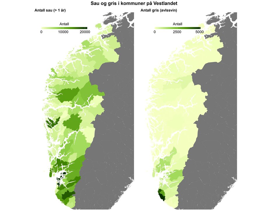 Antall sau og gris Vestlandet