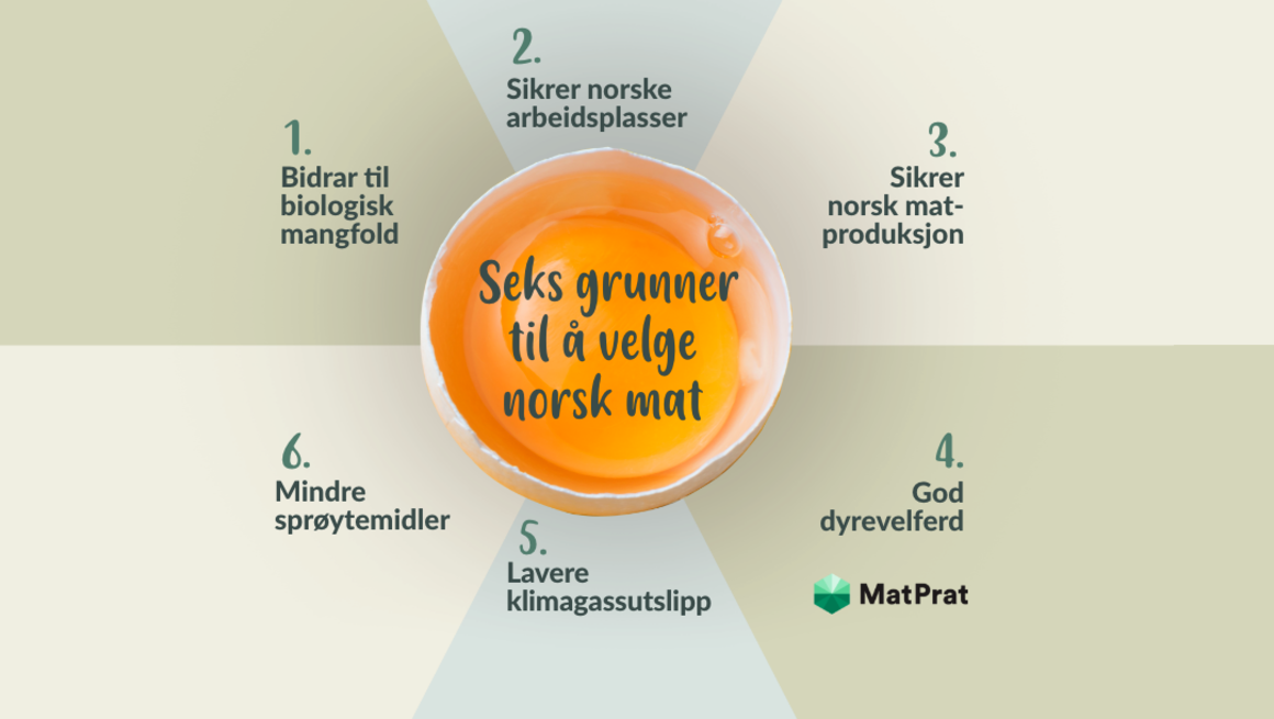6 grunner til å spise norsk