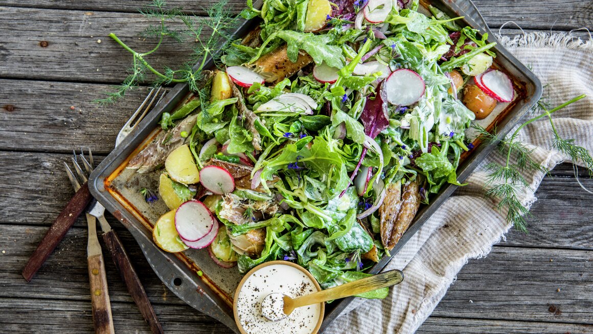 Varm salat med røkt makrell og poteter