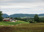 Jordbruk Trøndelag