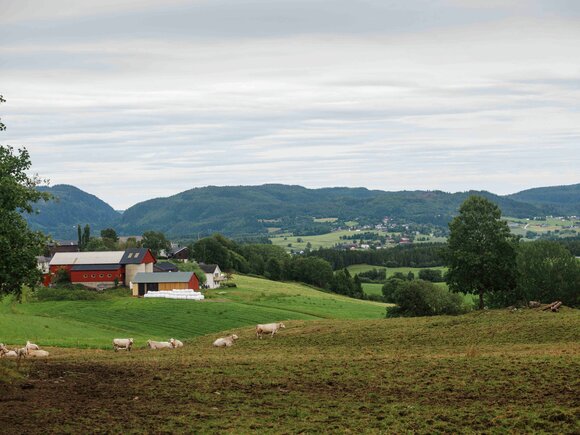 Jordbruk Trøndelag
