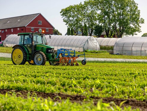 Traktor på Haneborg gård
