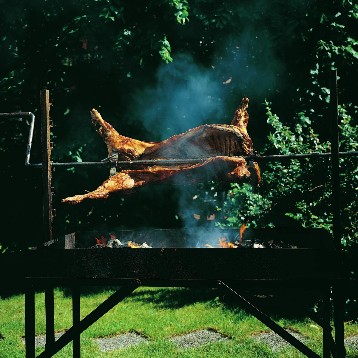 Helgrilling av smågris-image