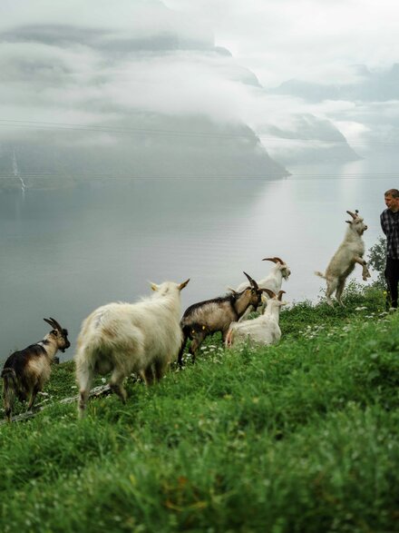 Geiter Vestland