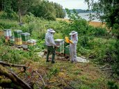 Stills honningsanking med Grunde