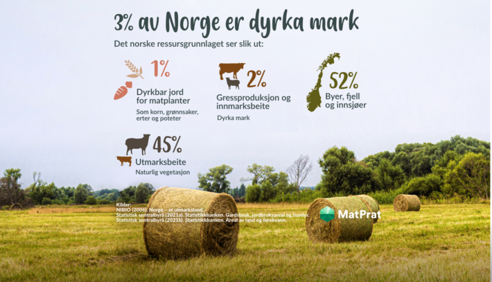 3 prosent av Norge er dyrka mark