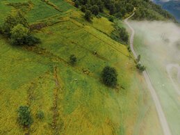 Beite drone