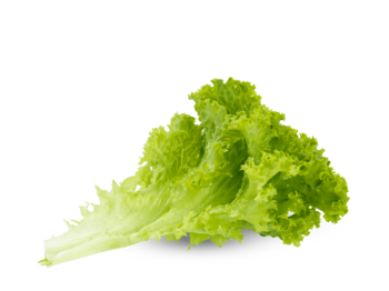 salatblad